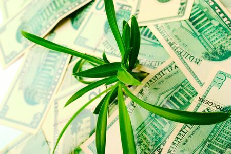 The increase in dollar quotes. Exchange Rateの写真素材