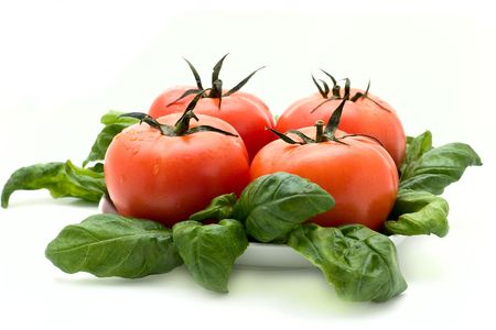 Tomatoes and basil lie on a plate.Isolataed on white background.の写真素材