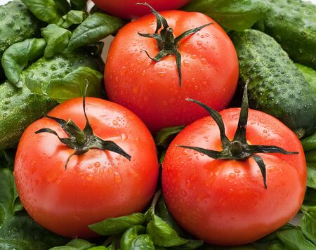 Vivid wet ripe tomatoes and basil leaves.の写真素材