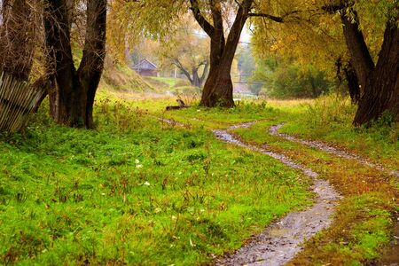 Autumn landscape: old trees, stretches far into the road, rickety fence. In the distance the river and the bridge. Gloomy weatherの写真素材