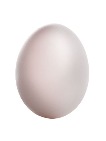 Egg isolated on white backgroundの写真素材