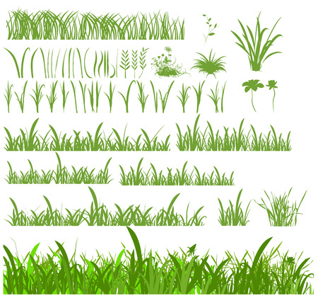 Set of different blades and stems for grasses and lawns. のイラスト素材