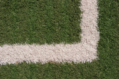 The texture of the herb cover sports field の写真素材