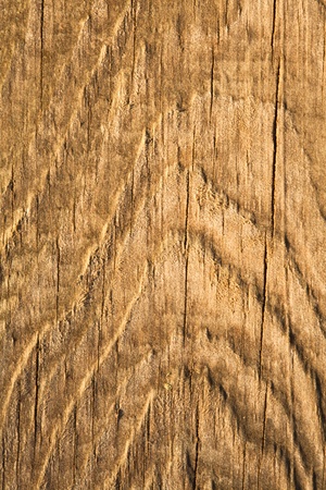 Texture of woodの写真素材