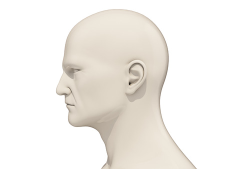 Human head side view isolated on a white backgroundの写真素材