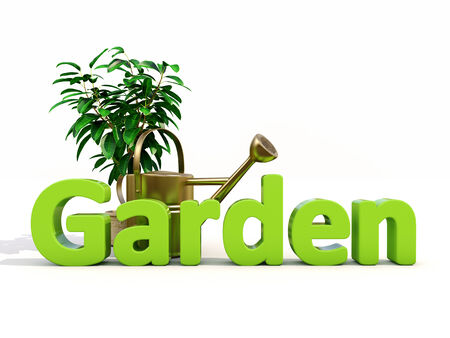 Garden, watering can and plant on white backgroundの写真素材