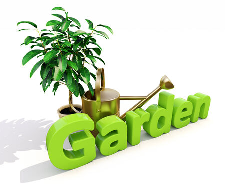 Garden, watering can and plant on white backgroundの写真素材