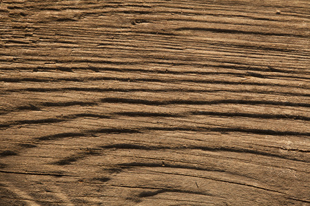 Close up texture of wood.の写真素材