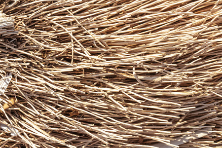 Natural textures. Weave, twisted twigs, dried stalksの写真素材