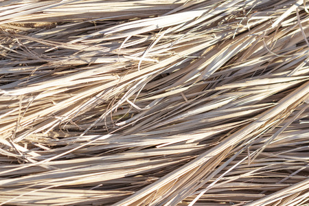 Natural textures. Weave, twisted twigs, dried stalksの写真素材