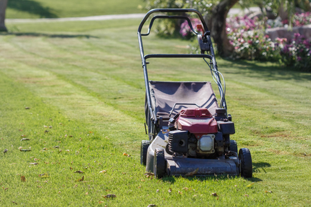 Modern gasoline lawn mower on a green meadow. Garden equipmentの写真素材
