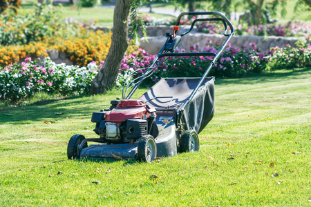 Modern gasoline lawn mower on a green meadow. Gardening equipmentの写真素材