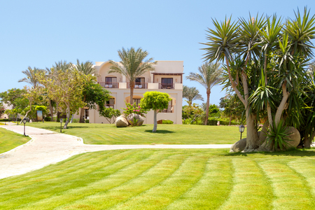 Tropical garden with palm trees, manicured lawns and pathsの写真素材