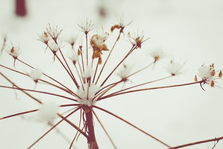 Abstract Winter background, Winter Outdoor Scene, Happy New Year and Merry Christmas Background for a Greeting or Message about Promotions and Sales, for Social Media, Posters, Email, Print, Adsの写真素材