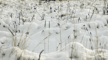 Abstract Winter background, Winter Outdoor Scene, Happy New Year and Merry Christmas Background for a Greeting or Message about Promotions and Sales, for Social Media, Posters, Email, Print, Adsの写真素材