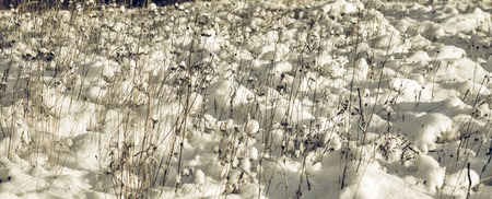 Abstract Winter background, Winter Outdoor Scene, Happy New Year and Merry Christmas Background for...
