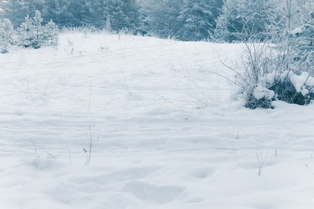 Abstract Winter background, Winter Outdoor Scene, Happy New Year and Merry Christmas Background for...