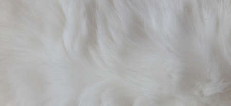 Cat Fur Texture Pattern Background, Natural Long HairÂ Fur Texture Top View,Â White Clean Wool,Â Light Natural Sheep WoolÂ CottonÂ Texture of Fluffy Fur,Â Close-up Fragment White Wool CarpetÂ Sheepskinの写真素材