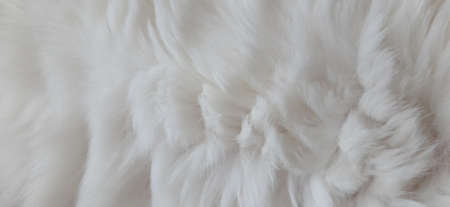 Cat Fur Texture Pattern Background, Natural Long HairÂ Fur Texture Top View,Â White Clean Wool,Â Light Natural Sheep WoolÂ CottonÂ Texture of Fluffy Fur,Â Close-up Fragment White Wool CarpetÂ Sheepskinの写真素材