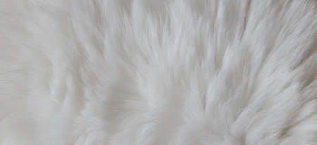 Cat Fur Texture Pattern Background, Natural Long HairÂ Fur Texture Top View,Â White Clean Wool,Â Light Natural Sheep WoolÂ CottonÂ Texture of Fluffy Fur,Â Close-up Fragment White Wool CarpetÂ Sheepskinの写真素材