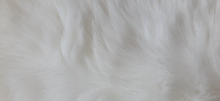 Cat Fur Texture Pattern Background, Natural Long HairÂ Fur Texture Top View,Â White Clean Wool,Â Light Natural Sheep WoolÂ CottonÂ Texture of Fluffy Fur,Â Close-up Fragment White Wool CarpetÂ Sheepskinの写真素材