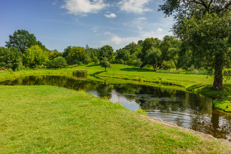 Beautiful Park Scene in Public Park with Green Grass Field, Green Tree Plant,Â Scenic View of the Park in the Summer,Â Exercise and Relaxの写真素材