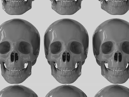 Row of RealisticÂ Human Skull Cranium Isolated on White Background,Â Medical and Anthropological Concept, Medical Research, 3d illustrationの写真素材