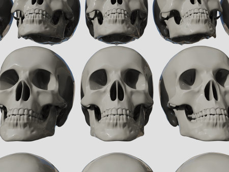 Row of RealisticÂ Human Skull Cranium Isolated on White Background,Â Medical and Anthropological Concept, Medical Research, 3d illustrationの写真素材