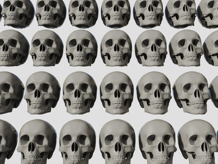 Row of RealisticÂ Human Skull Cranium Isolated on White Background,Â Medical and Anthropological Concept, Medical Research, 3d illustrationの写真素材