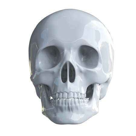 RealisticÂ Human Skull Cranium Isolated on White Background,Â Medical and Anthropological Concept, Medical Research, 3d illustrationの写真素材