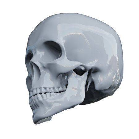 RealisticÂ Human Skull Cranium Isolated on White Background,Â Medical and Anthropological Concept, Medical Research, 3d illustrationの写真素材