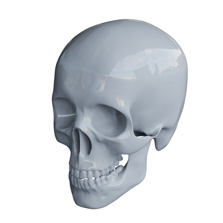 RealisticÂ Human Skull Cranium Isolated on White Background,Â Medical and Anthropological Concept, Medical Research, 3d illustrationの写真素材