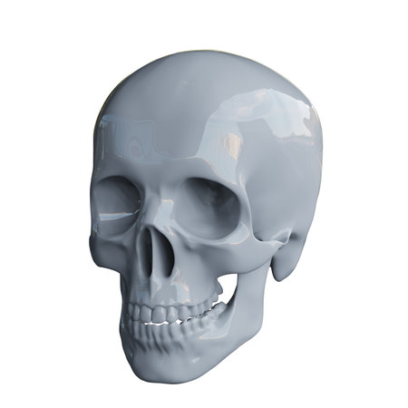 RealisticÂ Human Skull Cranium Isolated on White Background,Â Medical and Anthropological Concept, Medical Research, 3d illustrationの写真素材