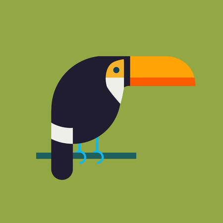 Illustration of brazil toucan in the flat style.のイラスト素材