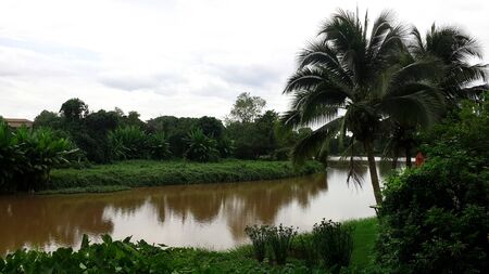 river and treeの写真素材