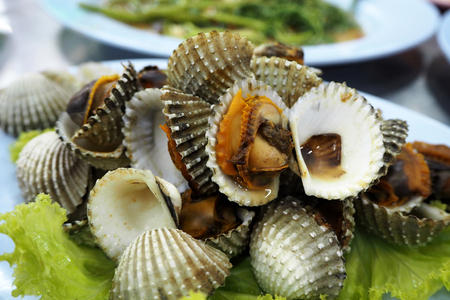 Cockle serve with salad and sour sauceの写真素材