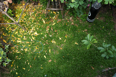 Garden from the top view