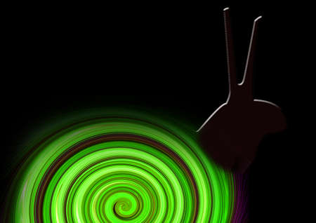 abstract snail on the black backgroundの写真素材