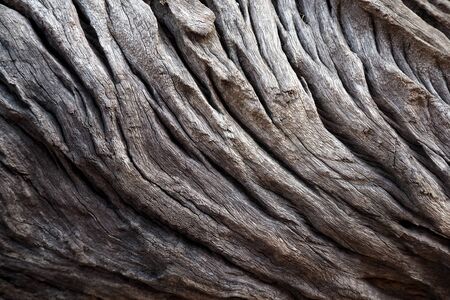 Natural  Wood texture use for backgroundの写真素材