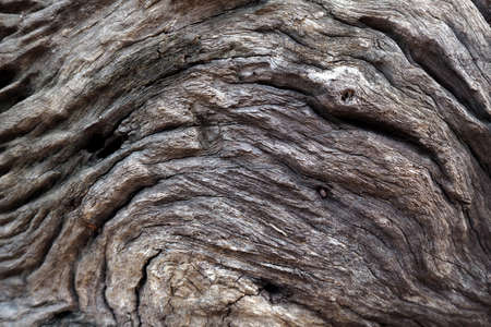 Natural  Wood texture use for backgroundの写真素材