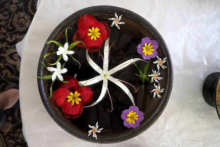 Plant and flower very beautyful