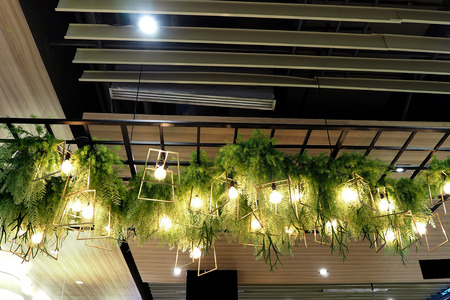 plant on roof in the big mallの写真素材
