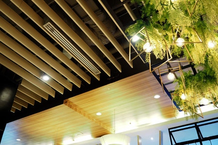 plant on roof in the big mallの写真素材