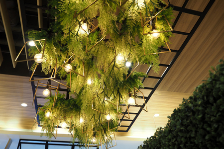 plant on roof in the big mallの写真素材