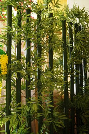 make the wall with green bambooの写真素材