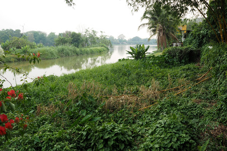 next to the river stay close to the natureの写真素材