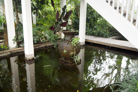 The Green garden look peace and look niceの写真素材