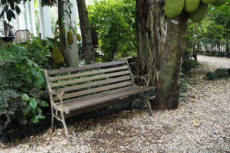 The Green garden look peace and look niceの写真素材