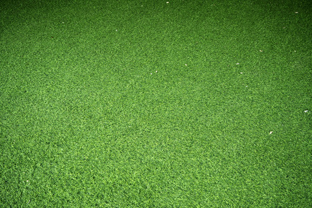 green grass backgroud look so nice and beautyfulの写真素材