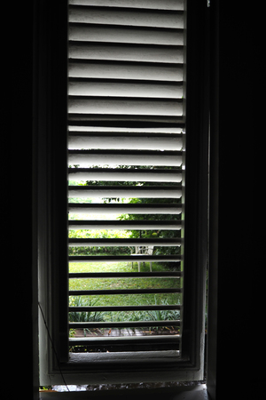 window looking out to garden is so beautyfulの写真素材